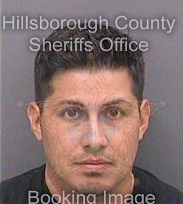 Villegas Juan - Hillsborough County, FL 