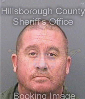 Titka Steven - Hillsborough County, FL 