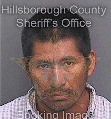 Lopez Miguel - Hillsborough County, FL 