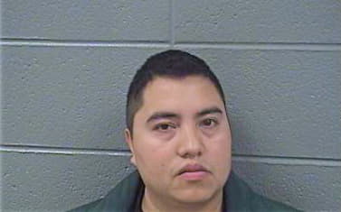 Hernandez Noe - Cook County, IL 