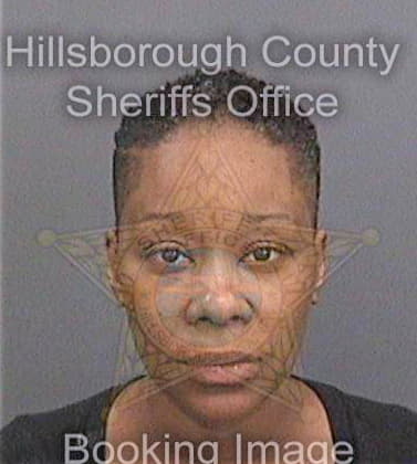 Michel Karen - Hillsborough County, FL 