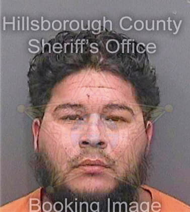 Arebalo Van - Hillsborough County, FL 