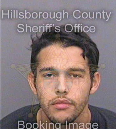 Ramos Luis - Hillsborough County, FL 