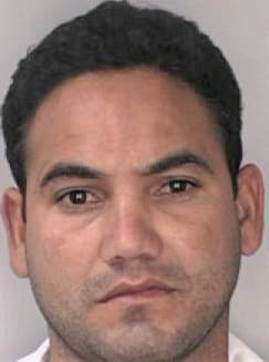 Delsolgonzalez Yoel - Hillsborough County, FL 