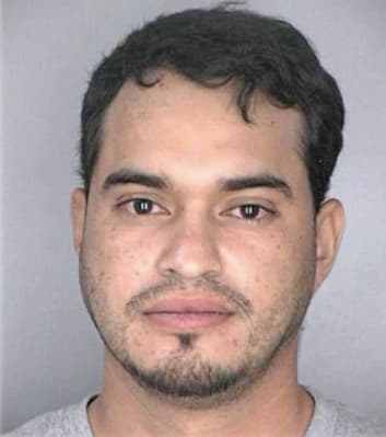 Villelahernandez Jose - Hillsborough County, FL 