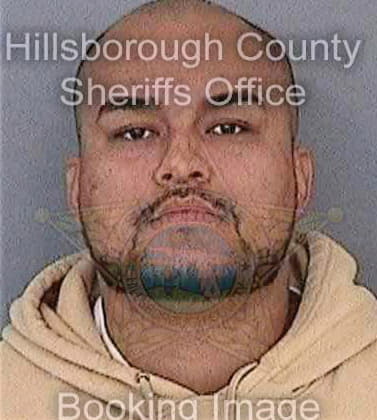 Carmona Marlon - Hillsborough County, FL 