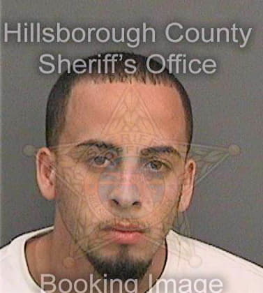 Maldonadorivera Bryan - Hillsborough County, FL 