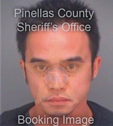 Ho Hoang - Pinellas County, FL 