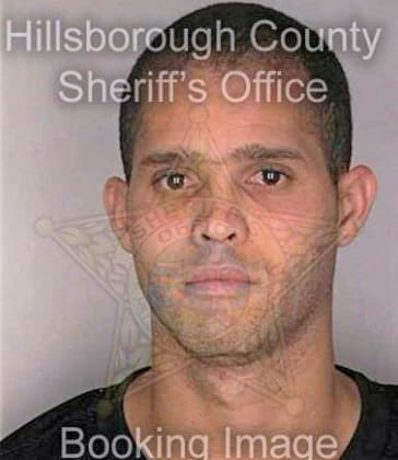 Fernandez Jobany - Hillsborough County, FL 