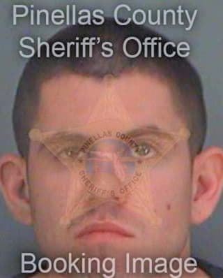 Nicholas Richard - Pinellas County, FL 