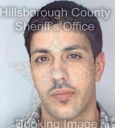 Gonzalez Roy - Hillsborough County, FL 