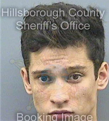 Bennett Alexander - Hillsborough County, FL 