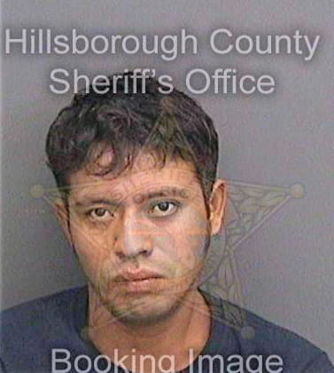 Gomezreyes Josue - Hillsborough County, FL 