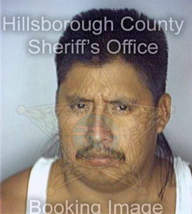 Hernandez Miquel - Hillsborough County, FL 