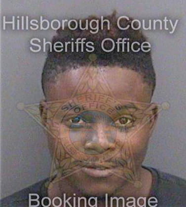 Gibson Joshua - Hillsborough County, FL 