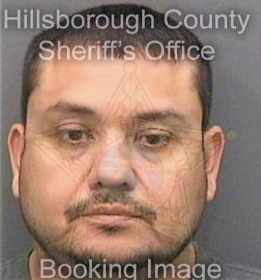 Calvosagahon Rigoberto - Hillsborough County, FL 