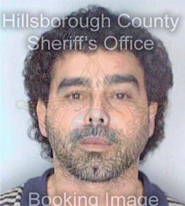 Gonzalez Josue - Hillsborough County, FL 