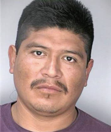 Mendez Mardonio - Hillsborough County, FL 
