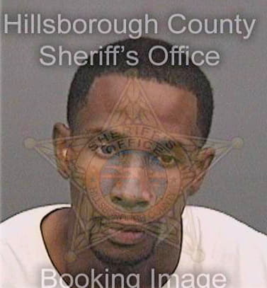 Ferguson Timothy - Hillsborough County, FL 