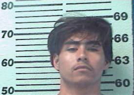 Rosales Alejandro - Hopkins County, TX 