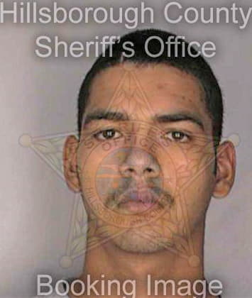 Trevino Samuel - Hillsborough County, FL 