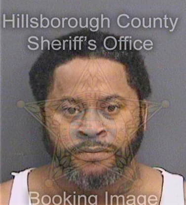 Stephenson Michael - Hillsborough County, FL 