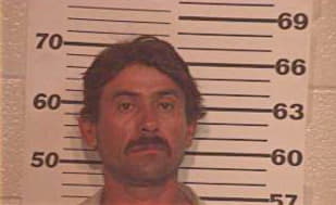 Guevara Sergio - Hidalgo County, TX 