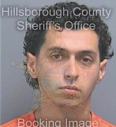 Luciano Emmanuel - Hillsborough County, FL 