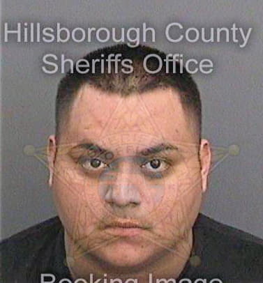 Garcia Michael - Hillsborough County, FL 