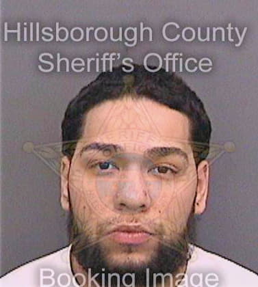 Colon Brandin - Hillsborough County, FL 