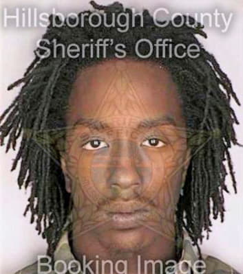 Lewis Hashel - Hillsborough County, FL 