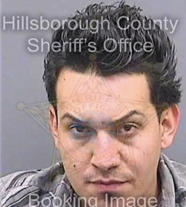 Negrillo Renzo - Hillsborough County, FL 