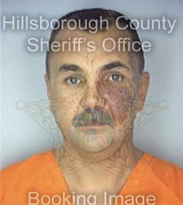 Collins David - Hillsborough County, FL 