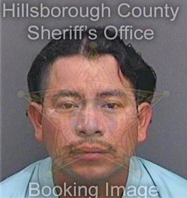 Garcia Maynor - Hillsborough County, FL 