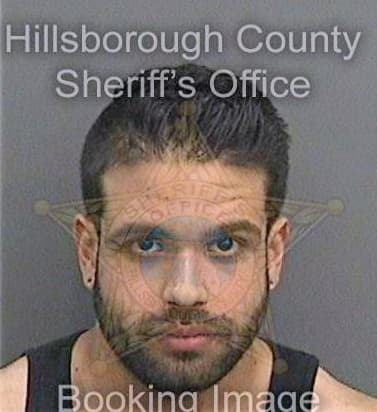 Salgado Daniel - Hillsborough County, FL 