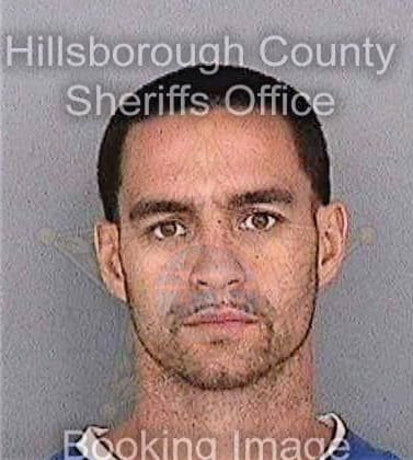 Evans Davy - Hillsborough County, FL 