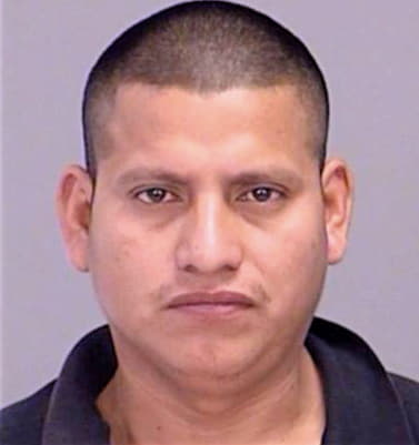 Hernandez Maximino - Brazos County, TX 