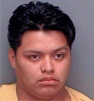 Hernandez Ulises - Pinellas County, FL 