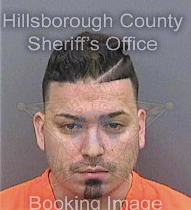 Demarco Julian - Hillsborough County, FL 