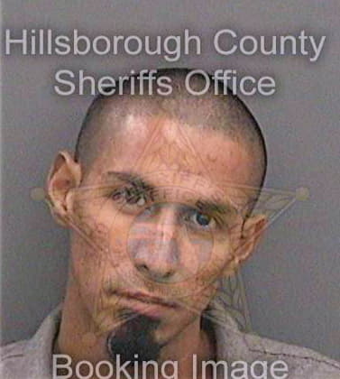 Gonzalez Armando - Hillsborough County, FL 