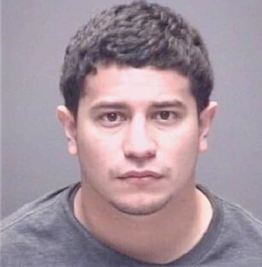 Hernandez Allan - Galveston County, TX 