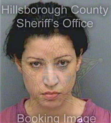 Vasquez Britzel - Hillsborough County, FL 