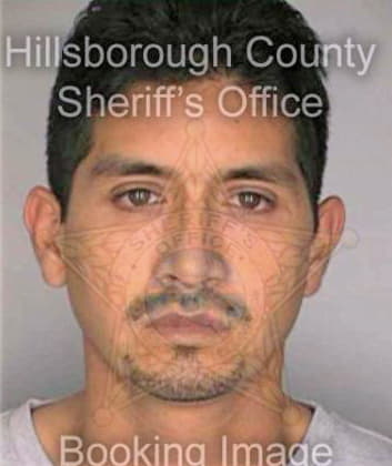 Melendezramirez Jose - Hillsborough County, FL 