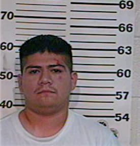 Mendez Carlos - Hidalgo County, TX 