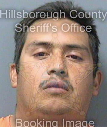 Galicia Jose - Hillsborough County, FL 