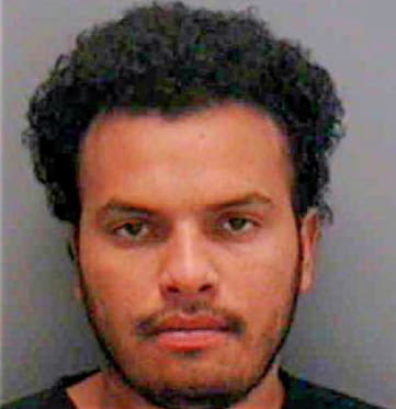 Rojo Jose - Lee County, FL 