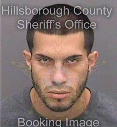 Vasquezmalave David - Hillsborough County, FL 