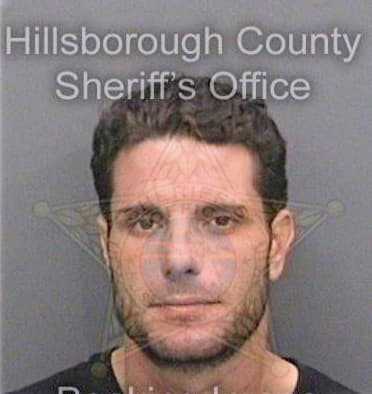 Fernandez Yanquier - Hillsborough County, FL 