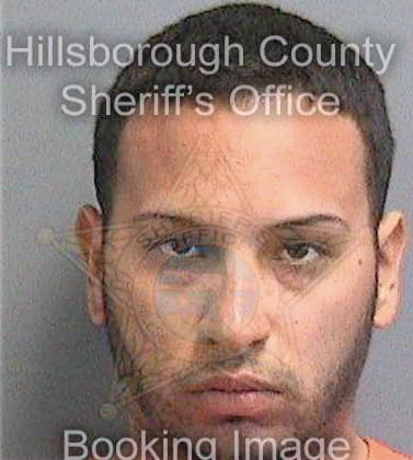 Castrorodriguez Miguel - Hillsborough County, FL 