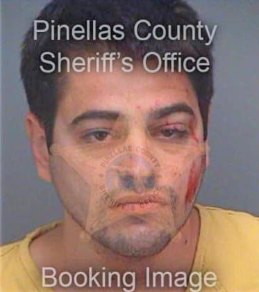 Ventura Daniel - Pinellas County, FL 